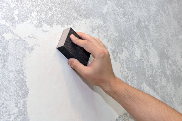 Best Mold Prevention Services  in Floresville, TX