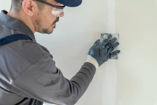 Best Water Damage & Mold Remediation  in Floresville, TX