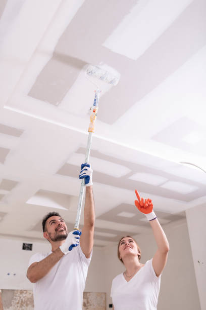Best Industrial Mold Remediation  in Floresville, TX