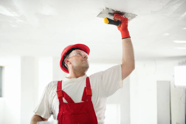 Best Mold Documentation for Insurance Claims  in Floresville, TX