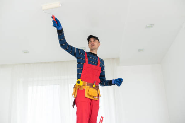 Best Biohazard Mold Removal  in Floresville, TX