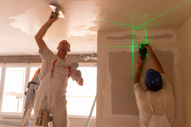 Professional Mold Removal in Floresville, TX