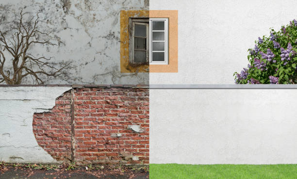 Best Industrial Mold Remediation  in Floresville, TX