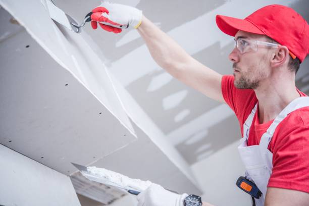 Best Crawl Space Mold Remediation  in Floresville, TX